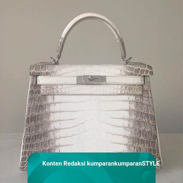Harga hermes himalayan crocodile birkin online